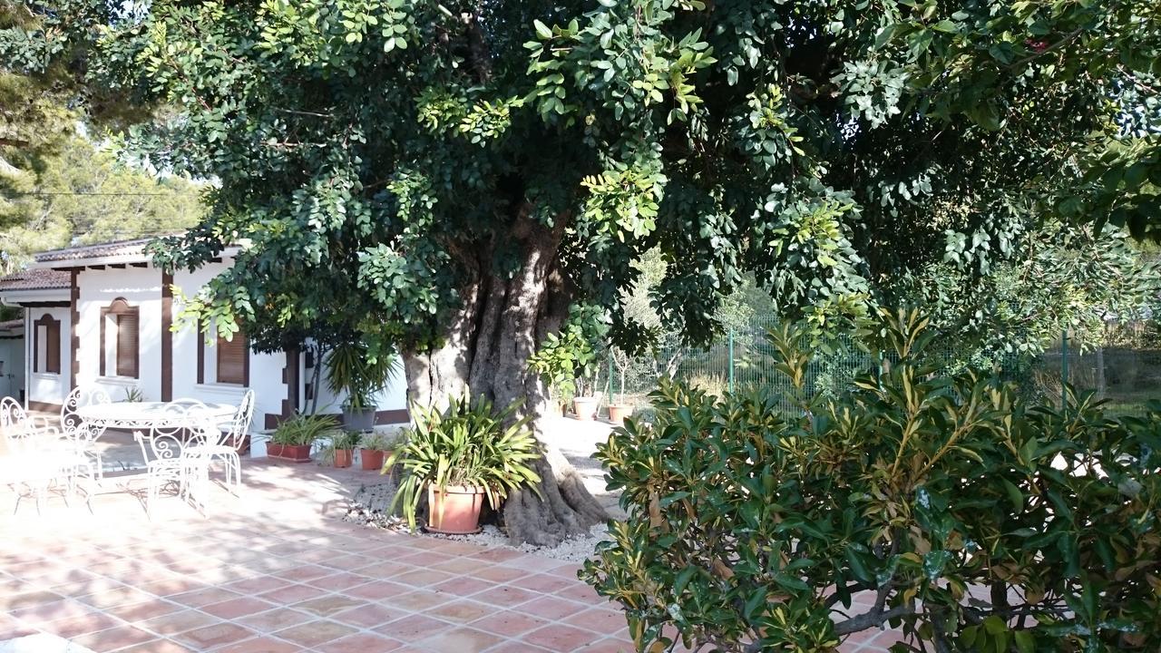Villa Chabola Denia Εξωτερικό φωτογραφία
