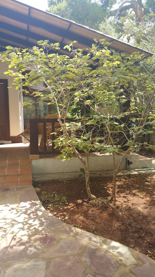 Villa Chabola Denia Εξωτερικό φωτογραφία