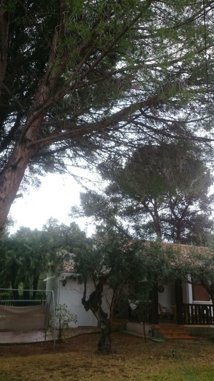 Villa Chabola Denia Εξωτερικό φωτογραφία